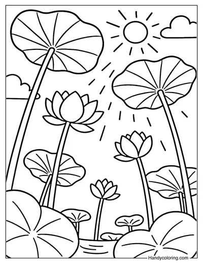 Lotus Pond Upview Coloring Page