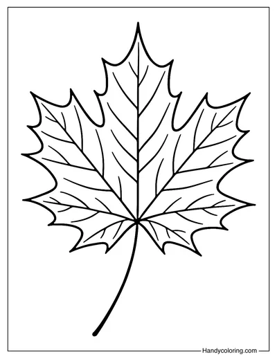 Maple Leaf Coloring Page