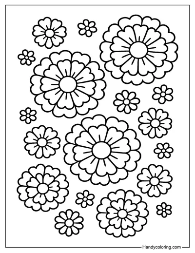 Marigold Flowers Coloring Page
