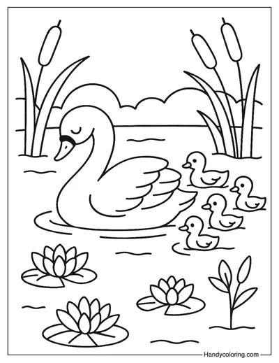 Mother Swan and Baby Cygnets Coloring Page