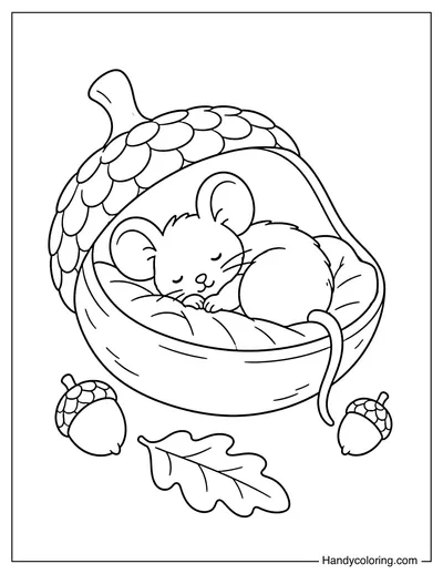 Mouse Sleeping Inside Acorn