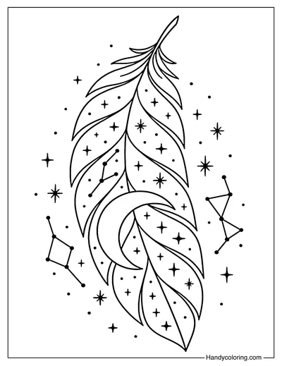 Night Sky Feather Coloring Page