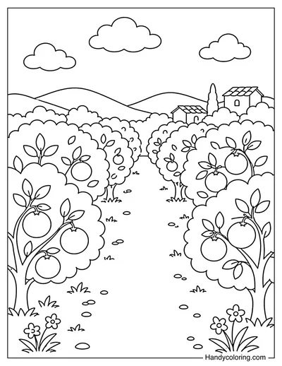 Orange Tree Garden in Spain