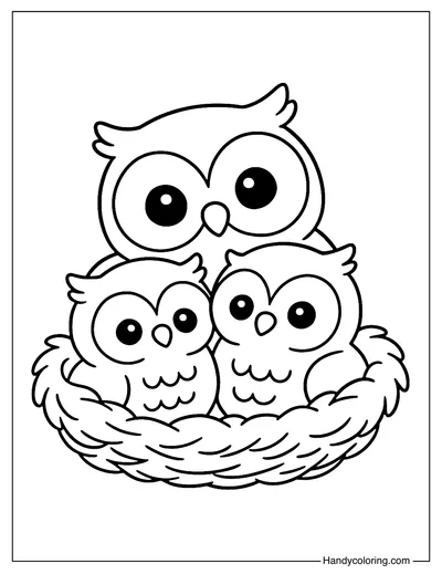 Owl Family Coloring Page