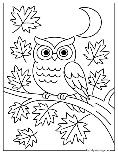 Owl on Maple Branch Coloring Page
