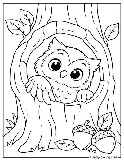 Owl Peeking Out of a Tree Hollow