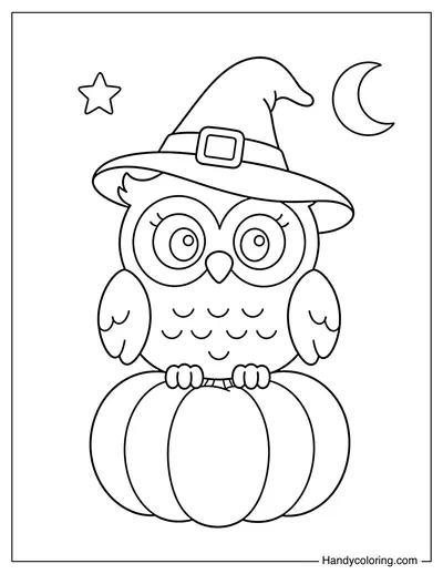 Owl Wearing a Witch Hat