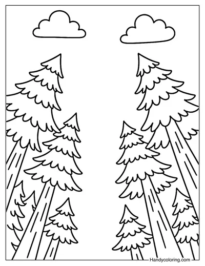 Pine Forest Upview Coloring Page