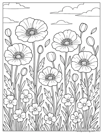 Poppy Flower Field Memorial Coloring Page