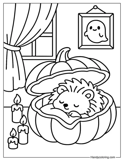 Pumpkin Bed Hedgehog Coloring Page