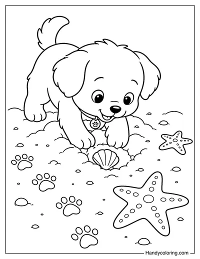 Puppy Digging for Seashells