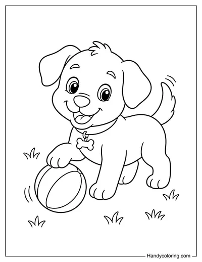 Puppy Playing with Ball