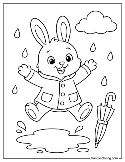 Rabbit Jumping Over a Puddle