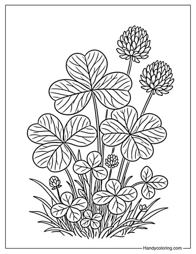 Realistic Shamrock Leaves Coloring Page