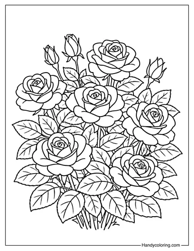 Rose Bush with Multiple Blooms Coloring Page