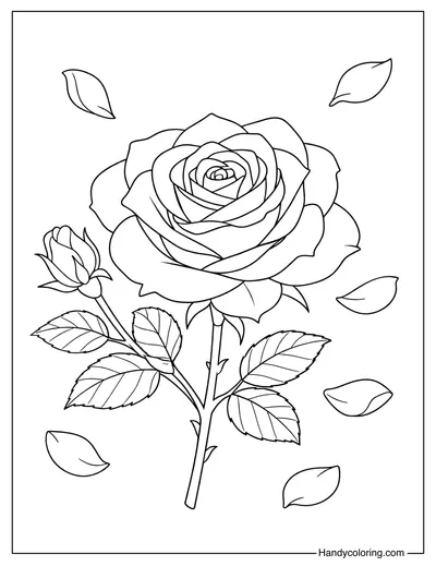 Rose With Falling Petals Coloring Page