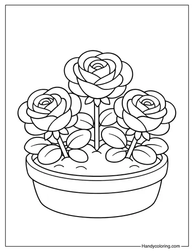 Roses In A Pot Coloring Page