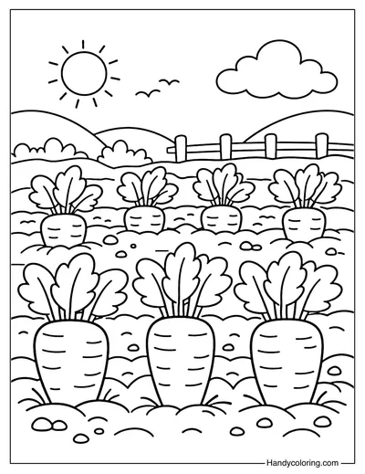 Row of Carrots in Garden