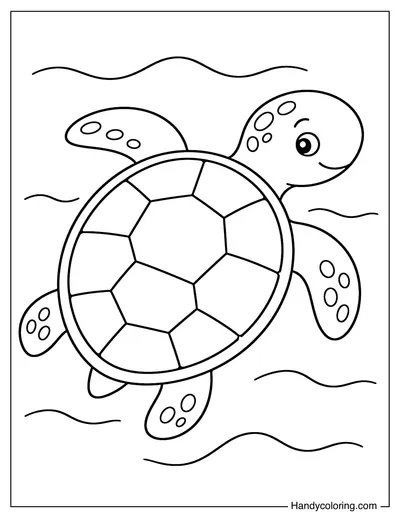 Sea Turtle Swimming