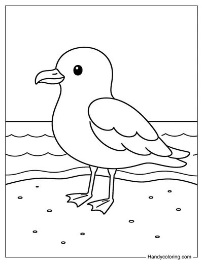 Seagull Standing by the Shore