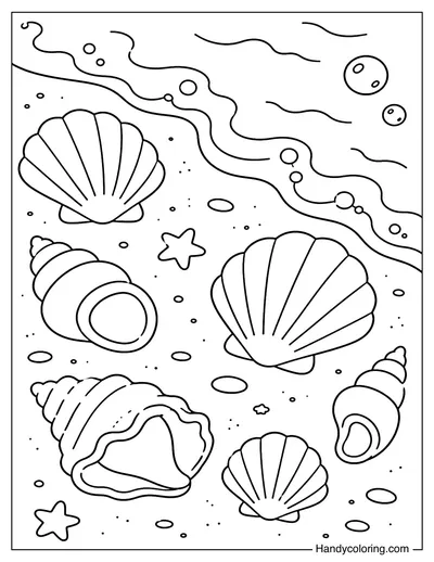 Seashells by the Shoreline