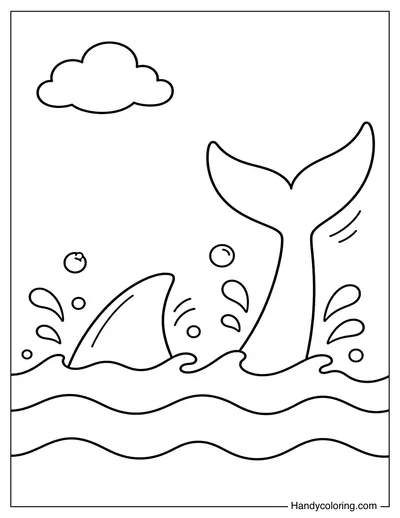 Shark Fin and Tail Above Water
