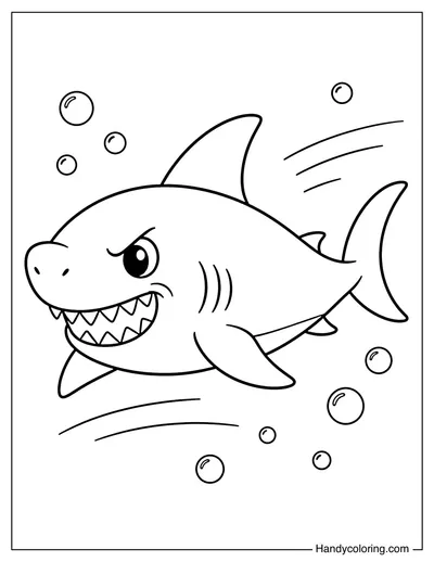 Shark Showing Sharp Teeth
