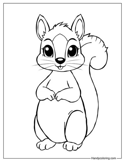 Simple Squirrel Coloring Book