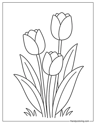 SimpleTulips Coloring Page