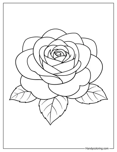 Single Rose Bloom Coloring Page