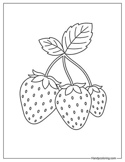 Small Strawberry Bunch