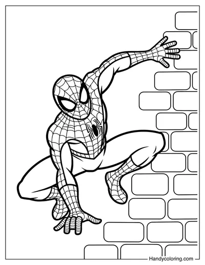 Spider-Man Crawling on Wall