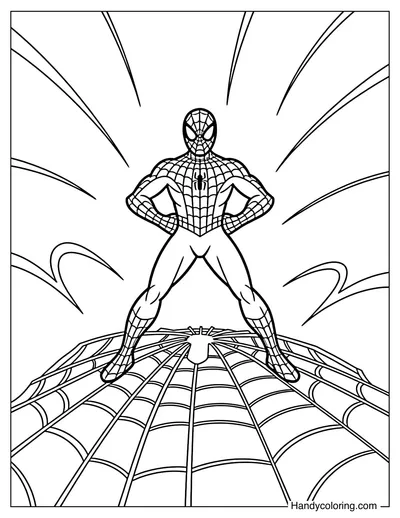 Spider-Man Standing on Giant Web