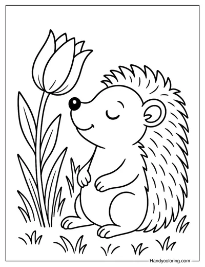 Spring Hedgehog Coloring Page