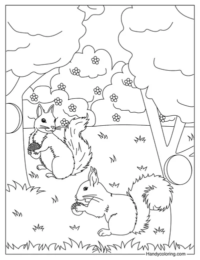 Squirre Animal Coloring Page