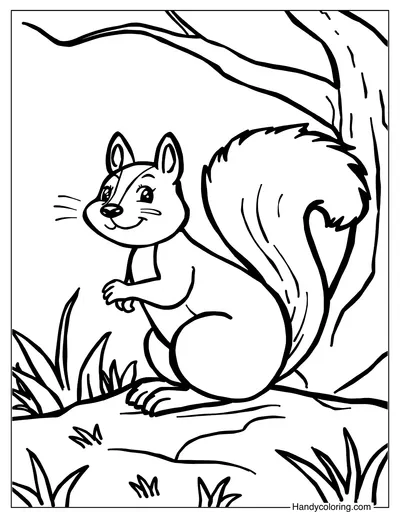 Squirrel in a Park Coloring Book