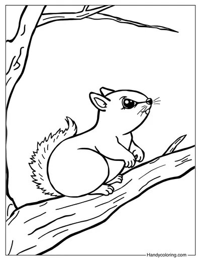Squirrel on a Tree Branch Coloring Page