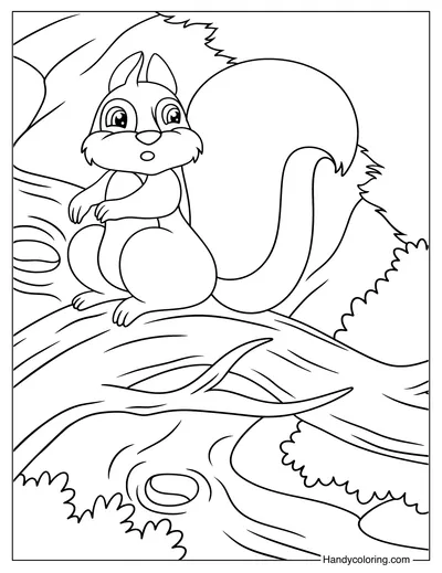 Squirrel Sitting on a Tree To Color