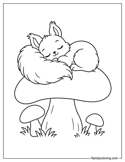 Squirrel Sleeping on a Giant Mushroom