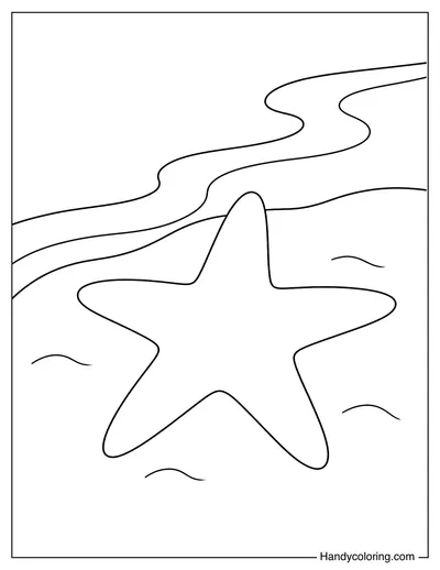 Starfish on Sandy Beach