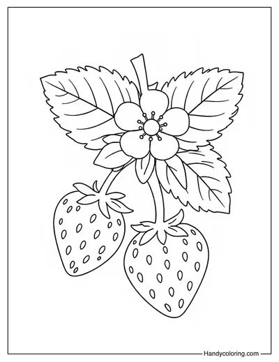 Strawberries with Small Flower