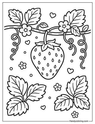 Strawberry Hanging on Vine