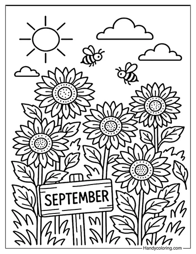 Sunflower Field Coloring Page