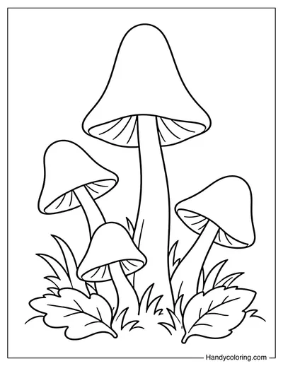 Tall Bell Shaped Mushroom Cluster