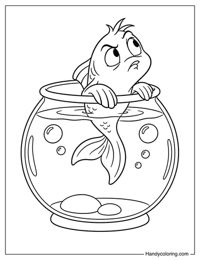 The Fish Peeking Out of the Fishbowl