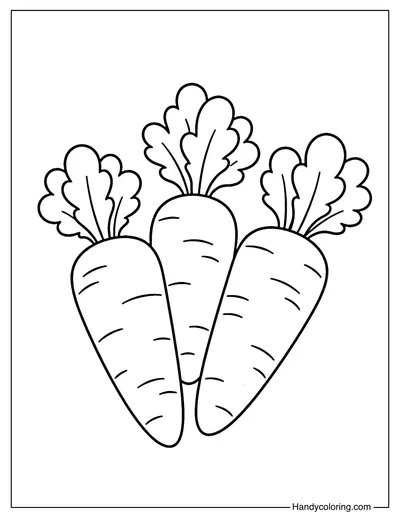 Three Simple And Cute Carrots