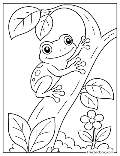 Tree Frog Climbing a Branch