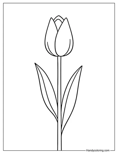 Tulip Flower Coloring Page