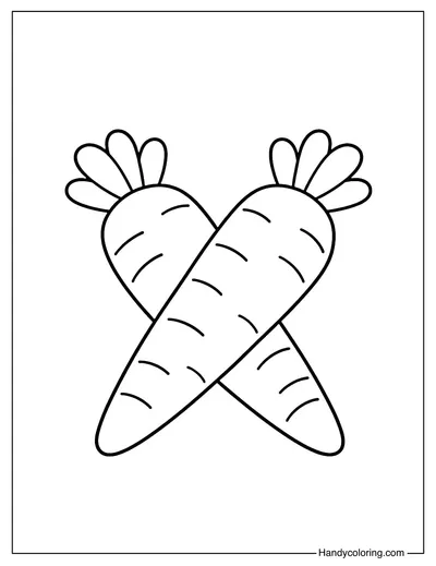 Two Carrots Crossed Form An X