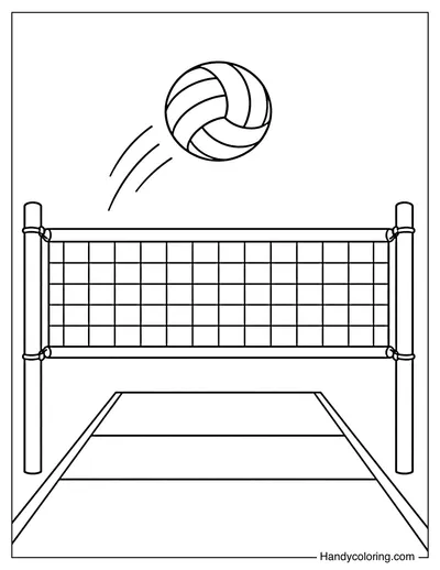 Volleyball Ball Above the Net